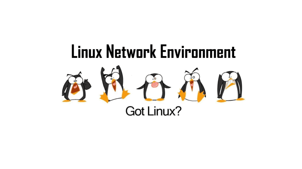 Net linux. Net linux